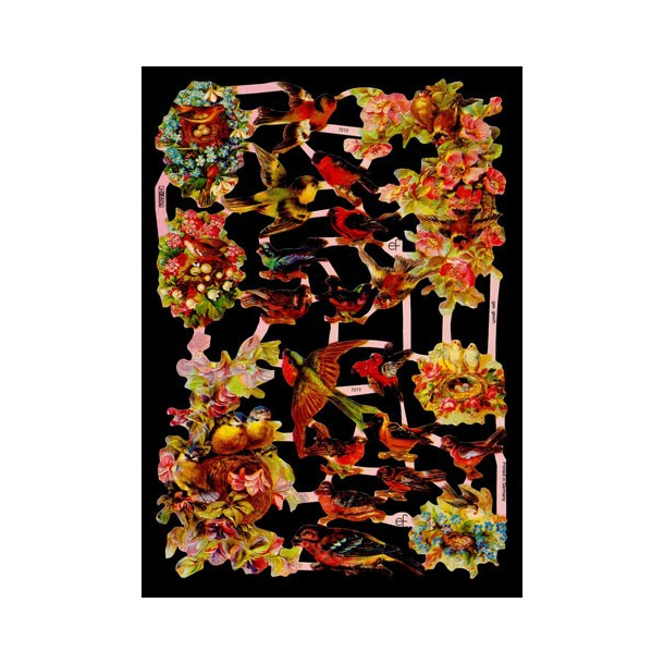 Glansbillede - fugle / 3-7212