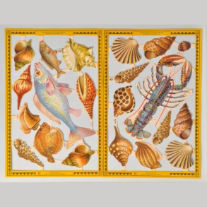 Glansbilleder fisk og skaller A129-130
