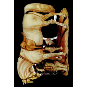 Glansbilleder hest og hund / 3-7089