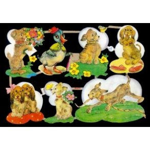 Glansbilleder hunde / 3-7057