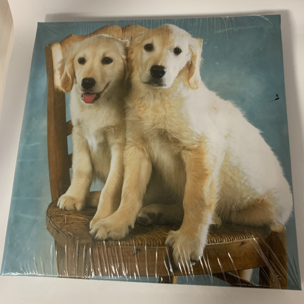 Goldbuch poesialbum, Hunde