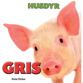 Husdyr - Gris