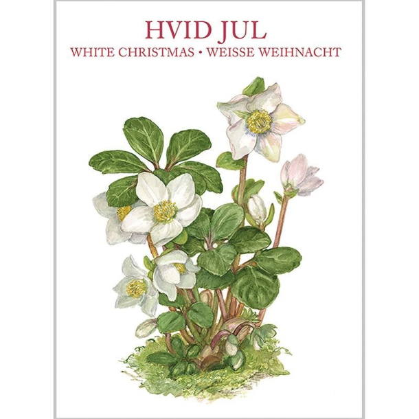 HVID JUL - 8 forskellige dobbeltkort