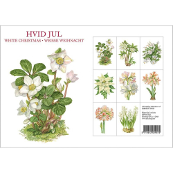 HVID JUL - 8 forskellige dobbeltkort