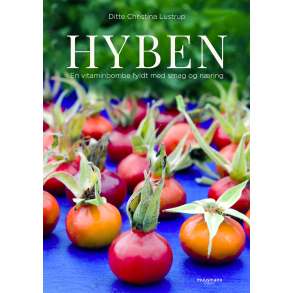 Hyben