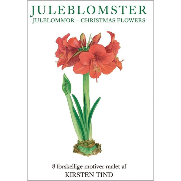 JULEBLOMSTER - 8 forskellige dobbeltkort