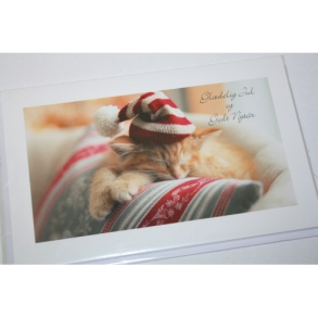 Julekort Kat med nissehue