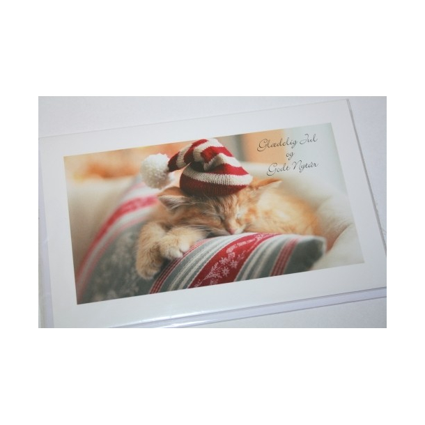Julekort Kat med nissehue