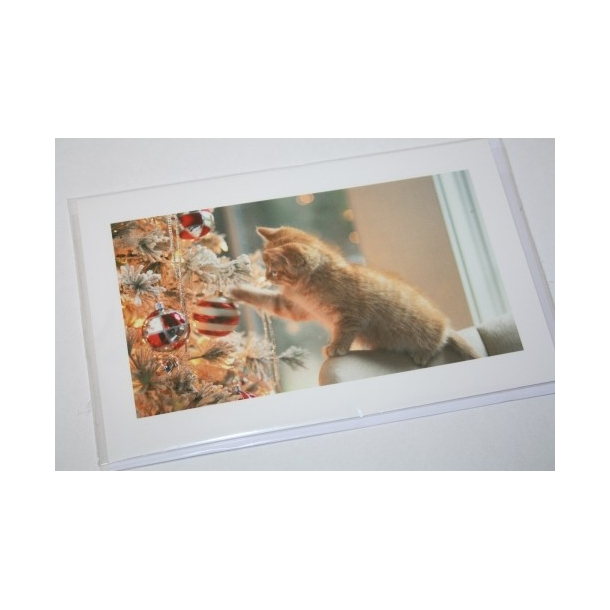 Julekort Kat ved juletr