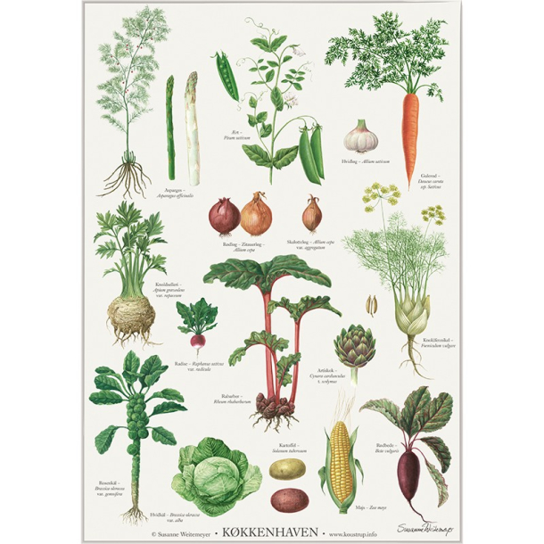 Koustrup miniplakat A4 &ndash; Kkkenhaven