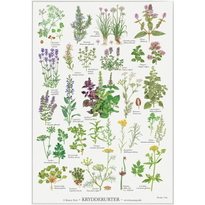 Koustrup miniplakat A4 – Krydderurter