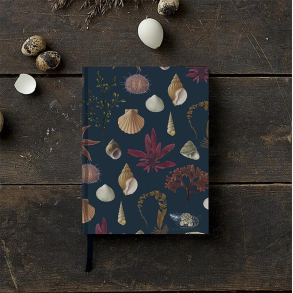 Koustrup notesbog, My Notes, Stranden