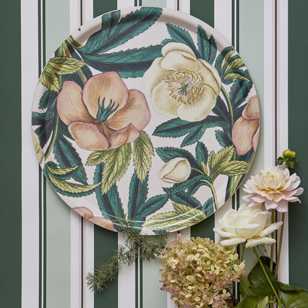 Koustrup rund bakke 38 cm, Helleborus