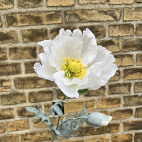 Kunstig blomst, Valmue, Hvid