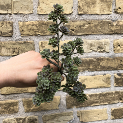 Kunstig blomsterstilk