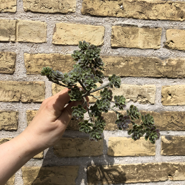 Kunstig blomsterstilk