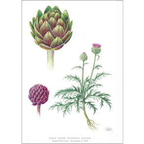 KUNSTTRYK A4 – Artiskok