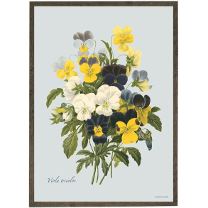 KUNSTTRYK A4 – Pancy