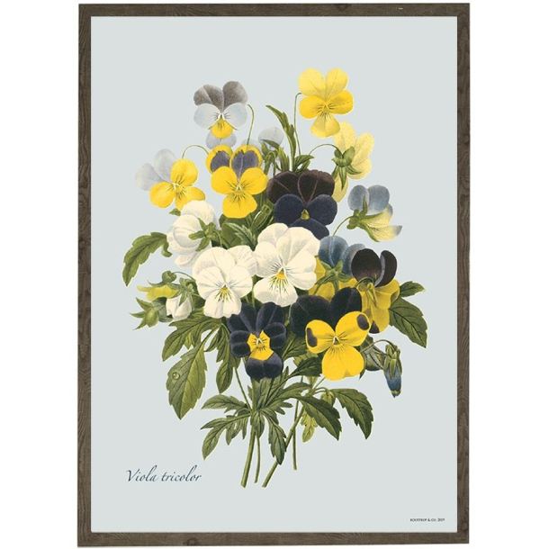 KUNSTTRYK A4 &ndash; Pancy