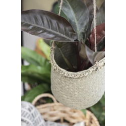 Kurveampel m/jutesnor til ophng