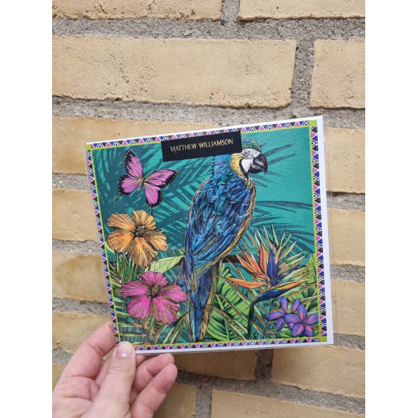 Kvadratisk dobbeltkort papegje, 16x16cm