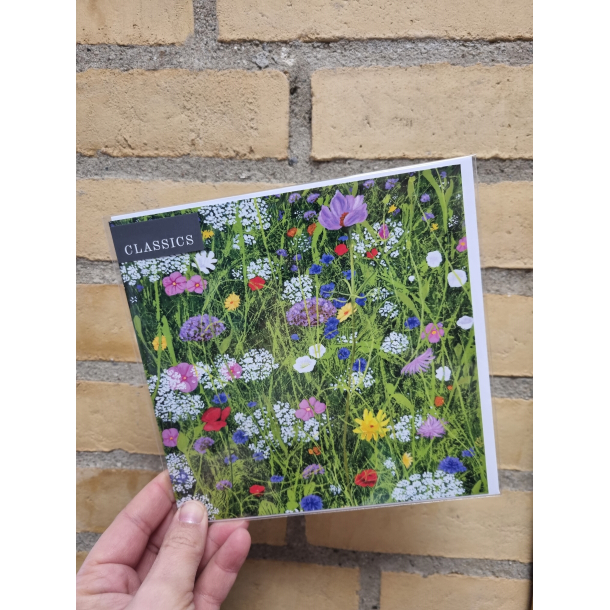 Kvadratisk dobbeltkort vilde blomster, 16x16cm