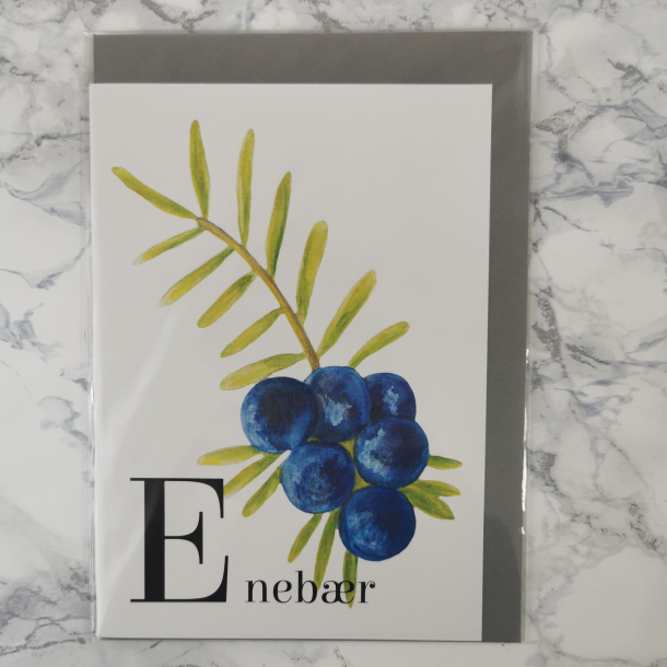 Liv Stoltzner - Kort, Enebr