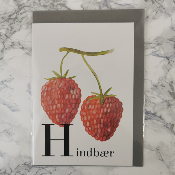 Liv Stoltzner - Kort, Hindbr