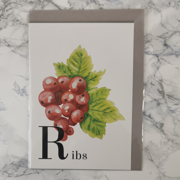 Liv Stoltzner - Kort, Ribs