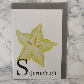 Liv Stoltzner - Kort, Stjernefrugt
