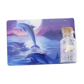 Magnet, delfiner over vand, flaske med muslinger