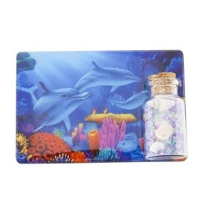 Magnet, delfiner under vand, flaske med muslinger