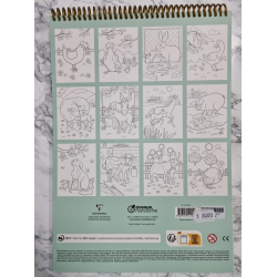 Malebog, Graffy color, ko