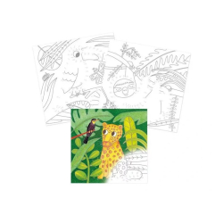 Malebog, Graffy Piont, Jungle