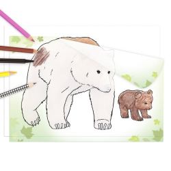 Malebog m. transparent 