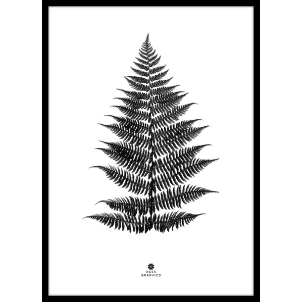 Malerifabrikken plakat 30 x 40 cm, Black Fern