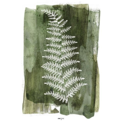 Malerifabrikken plakat 30 x 40 cm, White Fern