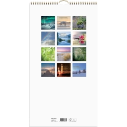 Mayland Vgkalender Dream &amp; Do 2026