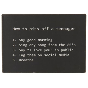 Metalskilt How to piss off a teeanager 