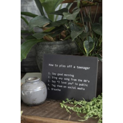 Metalskilt How to piss off a teeanager 