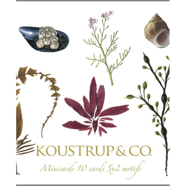 Minikort kvadratisk &ndash; Kystens spisekammer 