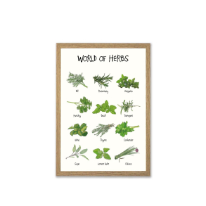 Mouse & Pen illustration A4 - World of Herbs