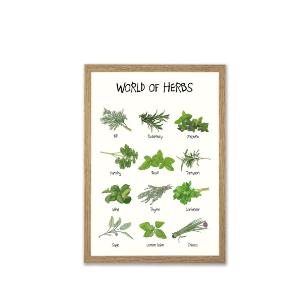 Mouse &amp; Pen illustration A4 - World of Herbs