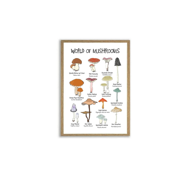 Mouse &amp; Pen illustration A4 - World of Mushrooms