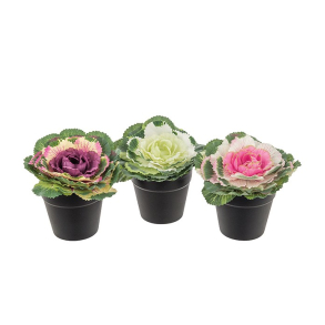 Mr. Plant - Dekorativ kl, 1 stk., lilla