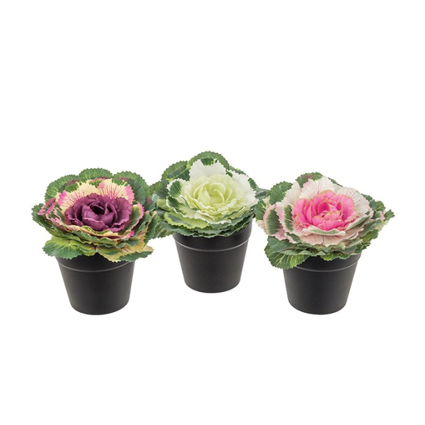 Mr. Plant - Dekorativ kl, 1 stk., lyserd