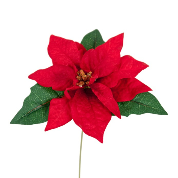 Mr. Plant - Julestjerne, 1 stk., 20 cm