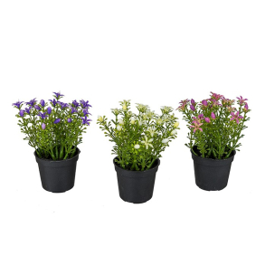 Mr. Plant - Mini blomst, 1 stk., lilla