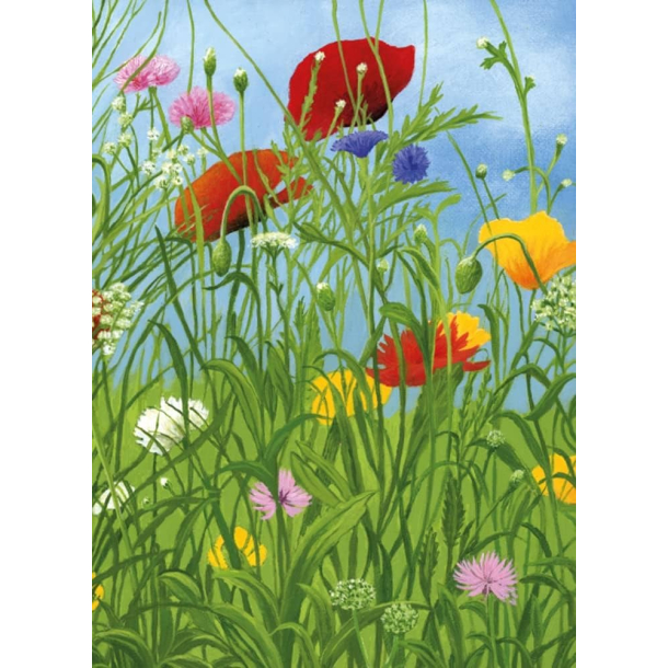 Museums &amp; Galleries dobbeltkort, Summer along the Riverbank