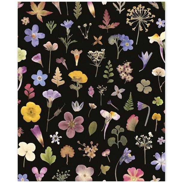 Museums &amp; Galleries dobbeltkort, Wild Press, Flower Meadow